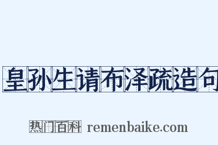 皇孙生请布泽疏造句是什么意思的图片